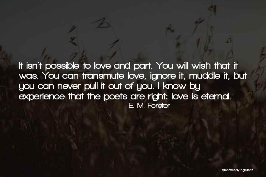 I Was Never Right Quotes By E. M. Forster I Was Never Right Quotes By E. M. Forster