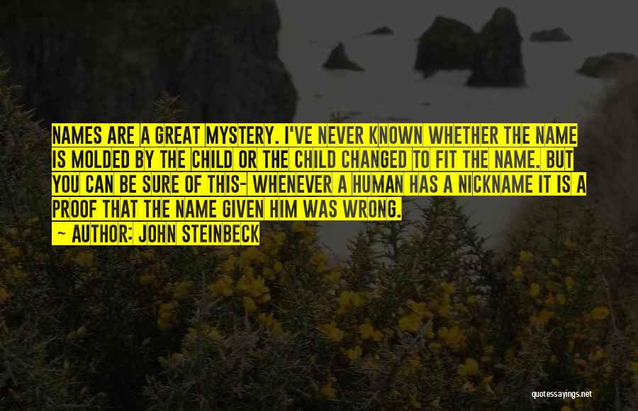 I Was Never Wrong Quotes By John Steinbeck