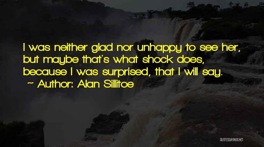 I Was Surprised Quotes By Alan Sillitoe