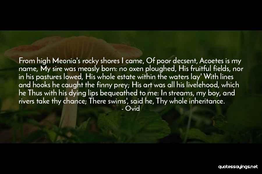 I Was There Quotes By Ovid