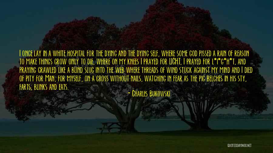 I Web Quotes By Charles Bukowski I Web Quotes By Charles Bukowski