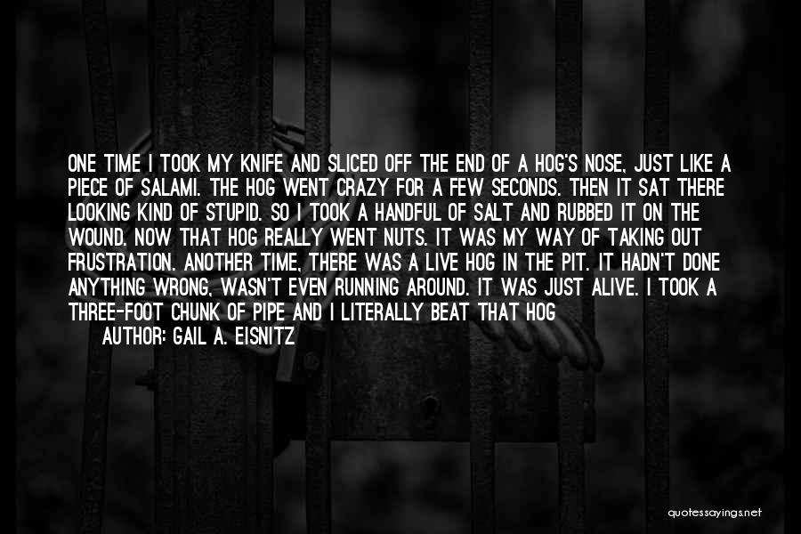 I Went Crazy Quotes By Gail A. Eisnitz