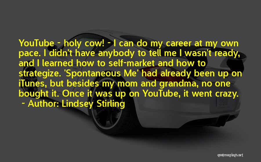 I Went Crazy Quotes By Lindsey Stirling