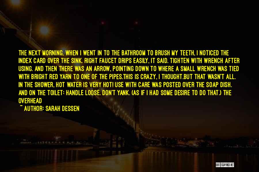 I Went Crazy Quotes By Sarah Dessen