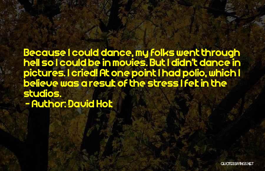 I Went Through Hell Quotes By David Holt