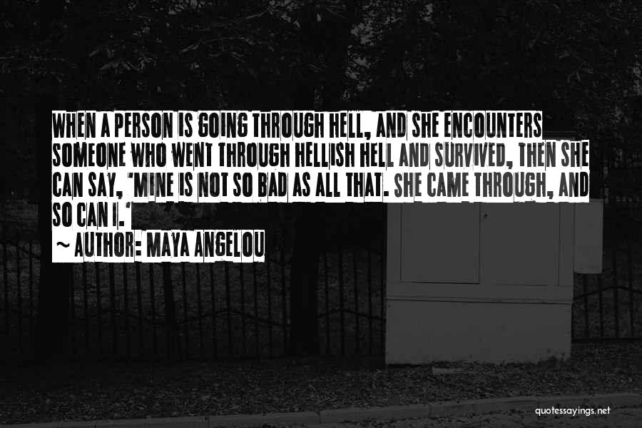 I Went Through Hell Quotes By Maya Angelou