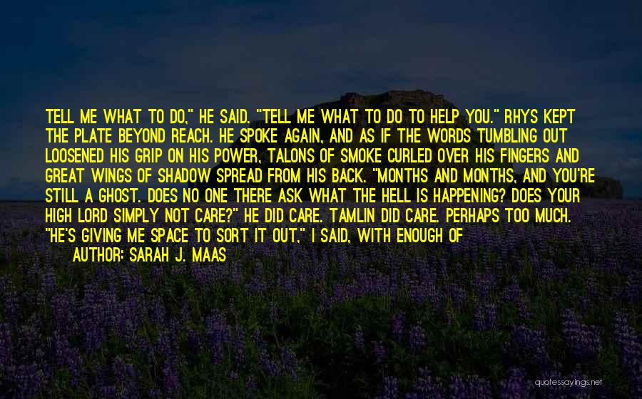 I Went Through Hell Quotes By Sarah J. Maas