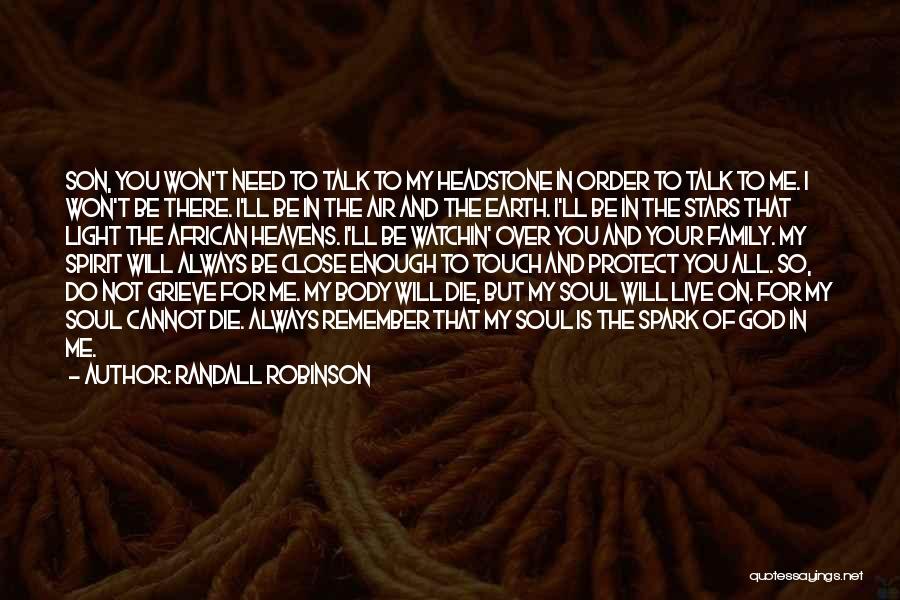 I Will Always Protect You Quotes By Randall Robinson