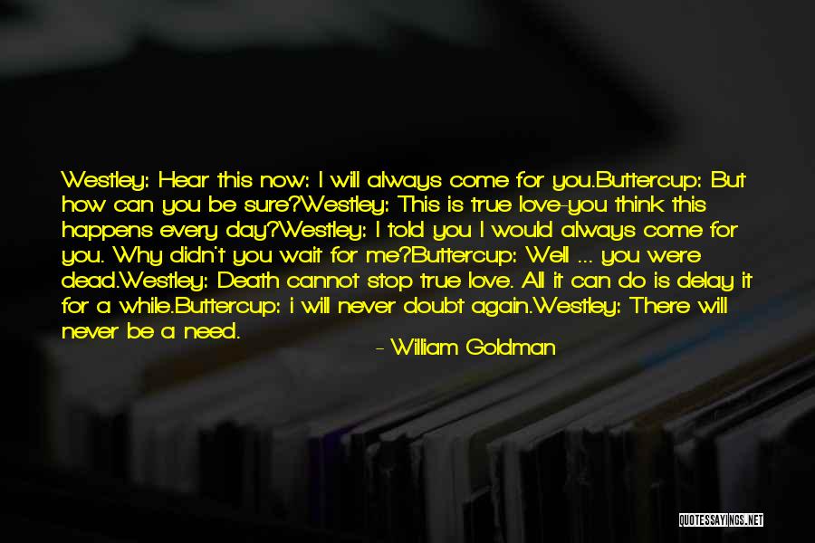 I Will Always Wait Quotes By William Goldman I Will Always Wait Quotes By William Goldman