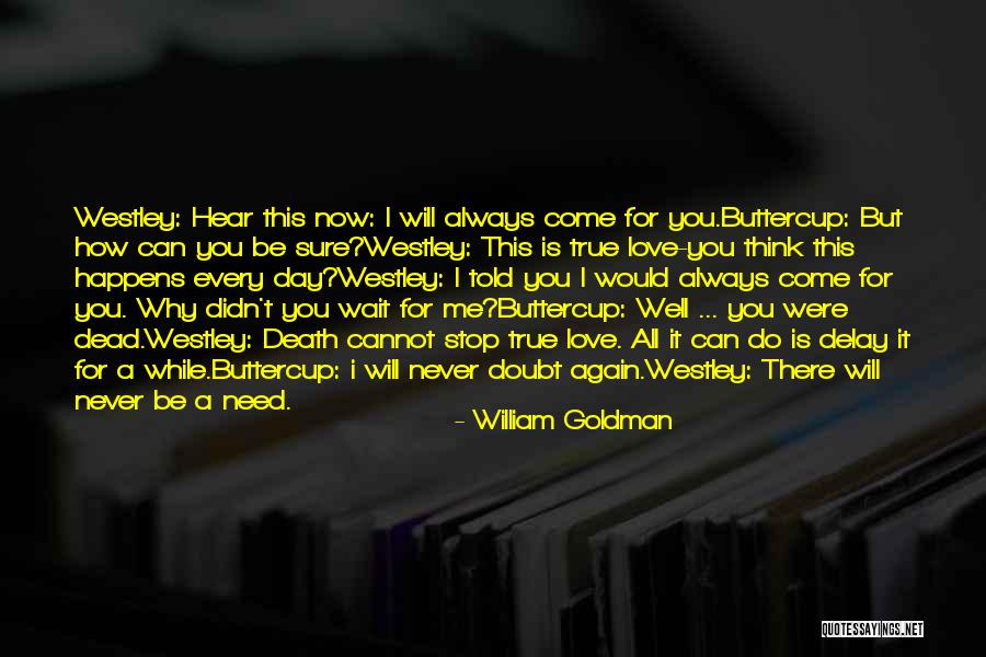 I Will Always Wait Quotes By William Goldman