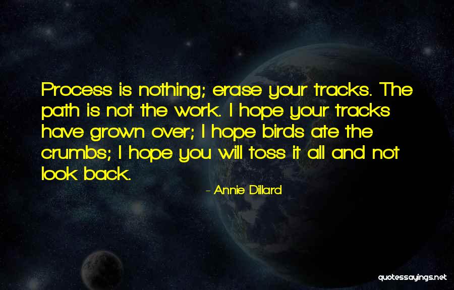 I Will Back Quotes By Annie Dillard