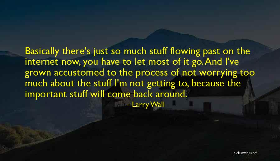 I Will Back Quotes By Larry Wall