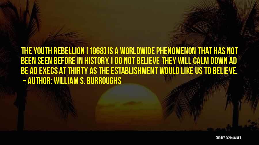 I Will Be Calm Quotes By William S. Burroughs