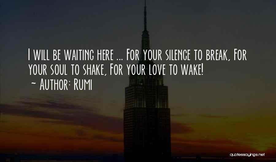 I Will Be Here Waiting For You Quotes By Rumi