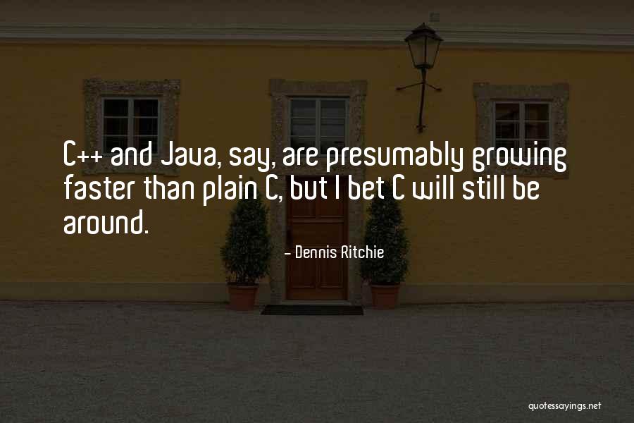 I Will Be Still Quotes By Dennis Ritchie