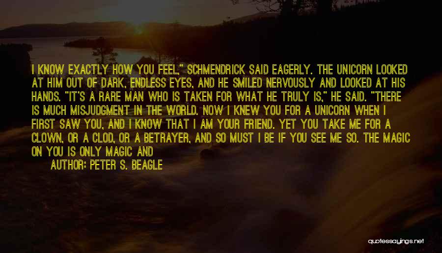 I Will Be There For You Friend Quotes By Peter S. Beagle