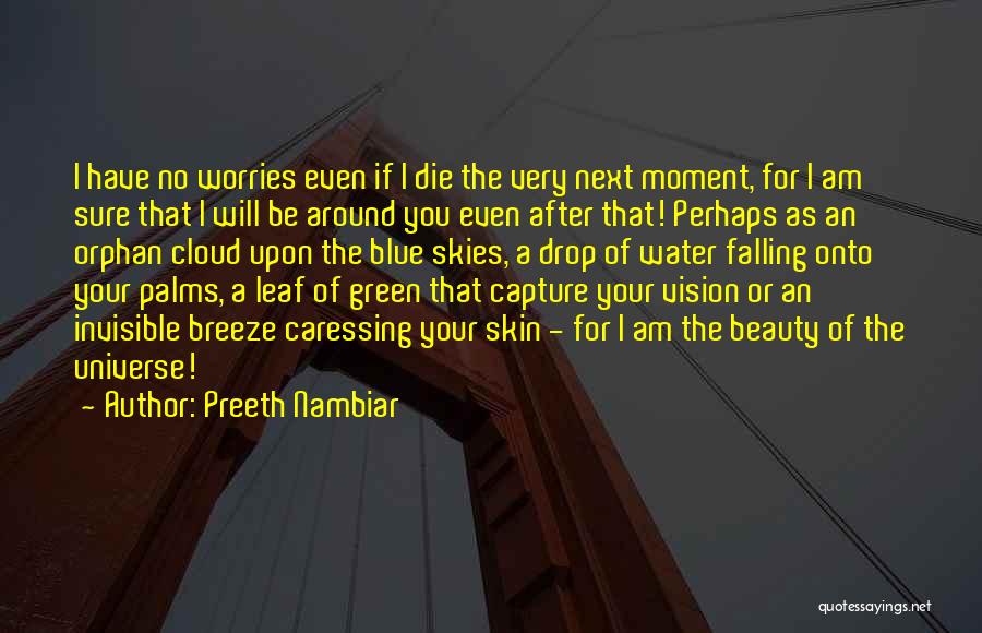 I Will Capture You Quotes By Preeth Nambiar