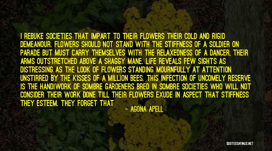 I Will Carry On Quotes By Agona Apell I Will Carry On Quotes By Agona Apell