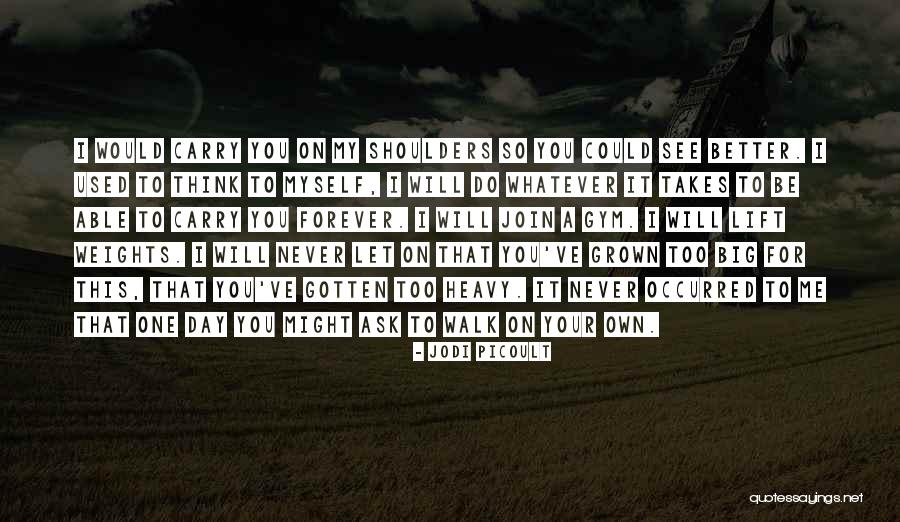 I Will Carry On Quotes By Jodi Picoult I Will Carry On Quotes By Jodi Picoult