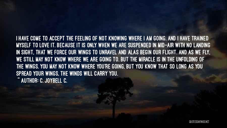 I Will Carry You Quotes By C. JoyBell C.