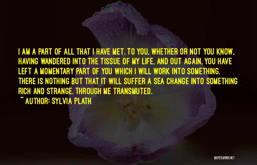 I Will Change My Life Quotes By Sylvia Plath