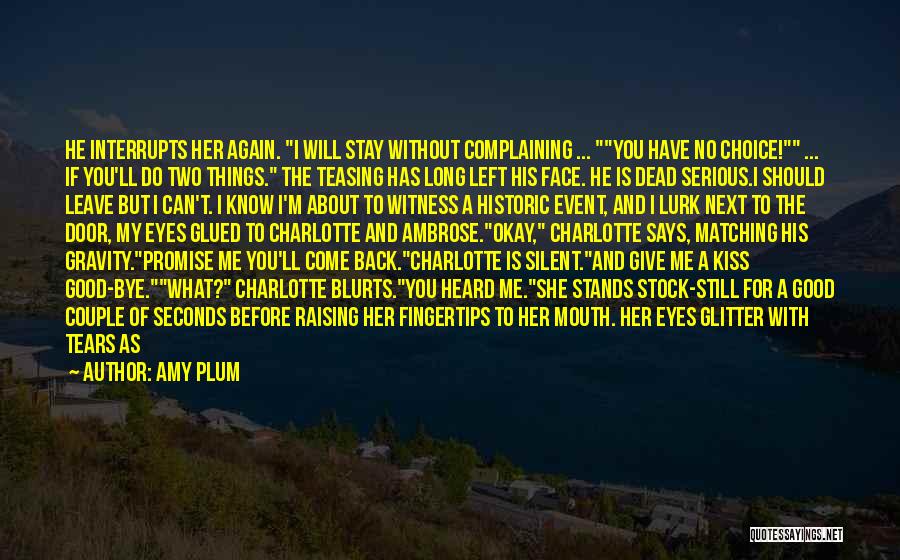 I Will Come Back Again Quotes By Amy Plum