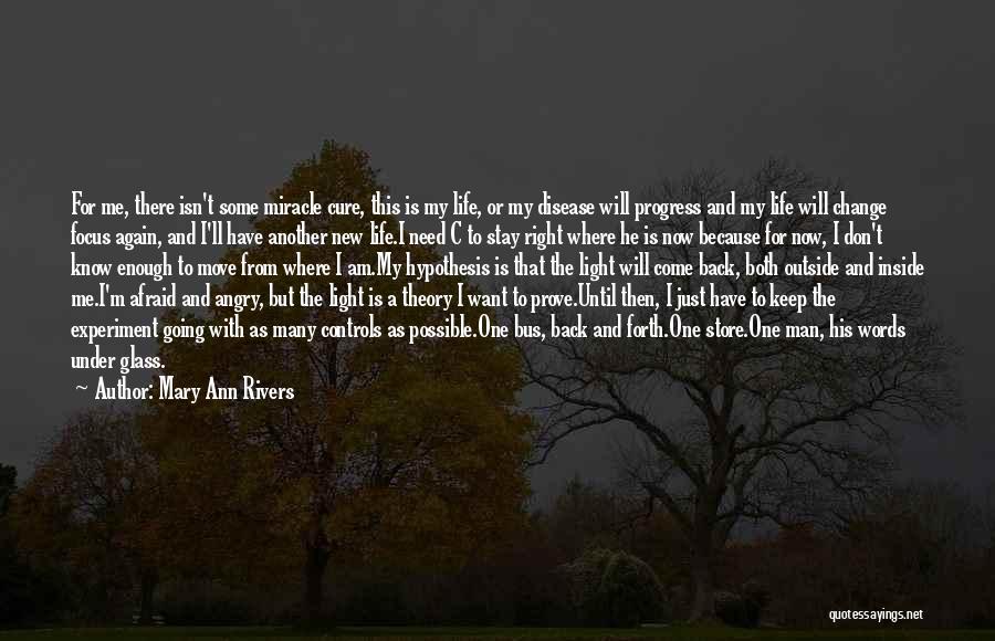 I Will Come Back Again Quotes By Mary Ann Rivers