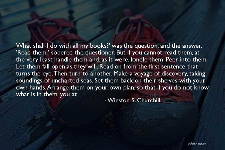 I Will Do It On My Own Quotes By Winston S. Churchill