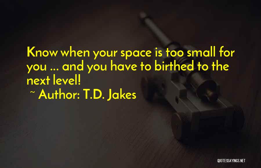 I Will Do My Level Best Quotes By T.D. Jakes