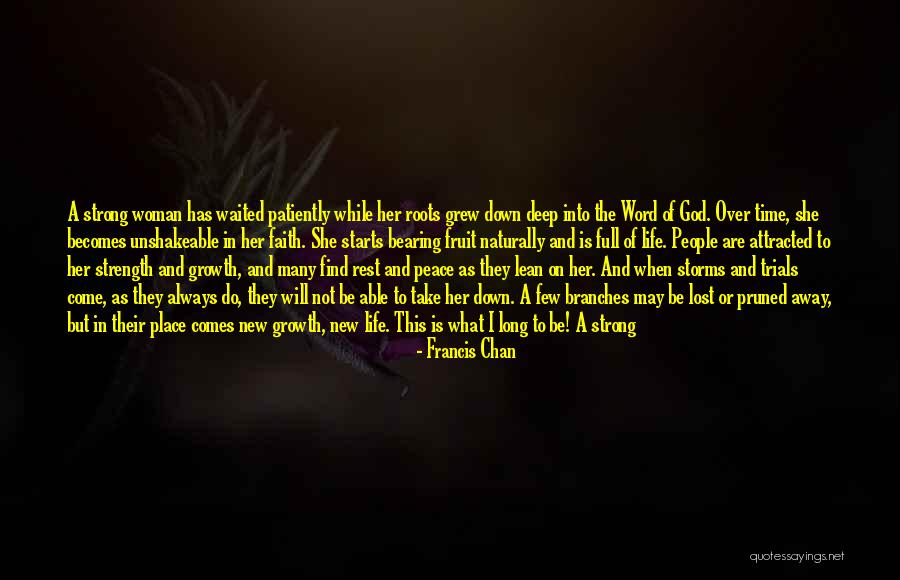 I Will Fight For You But Not Over You Quotes By Francis Chan