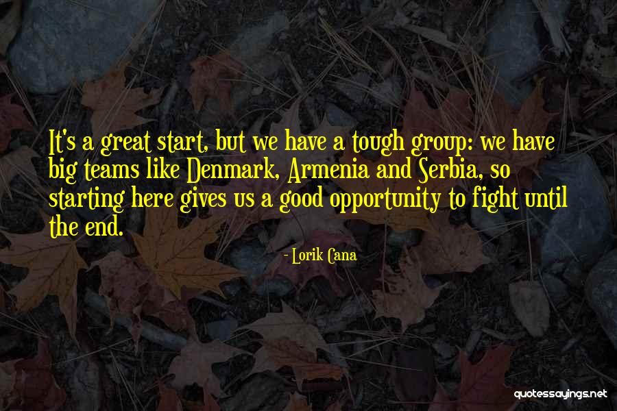 I Will Fight Until The End Quotes By Lorik Cana I Will Fight Until The End Quotes By Lorik Cana