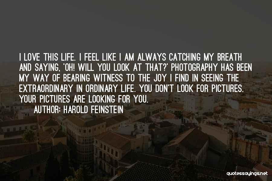 I Will Find The Love Of My Life Quotes By Harold Feinstein