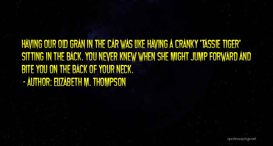 I Will Go And Never Come Back Quotes By Elizabeth M. Thompson