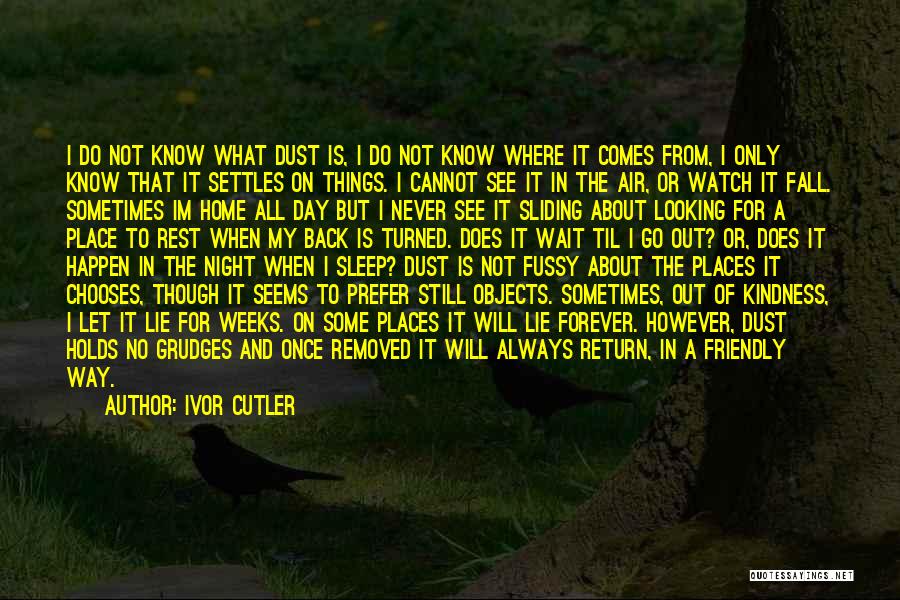 I Will Go Forever Quotes By Ivor Cutler