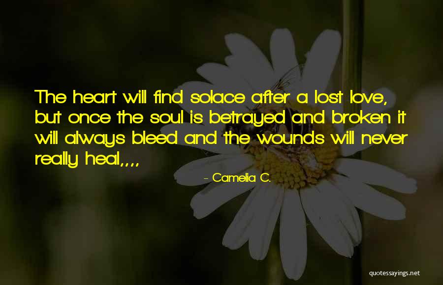 I Will Heal Your Broken Heart Quotes By Camelia C.