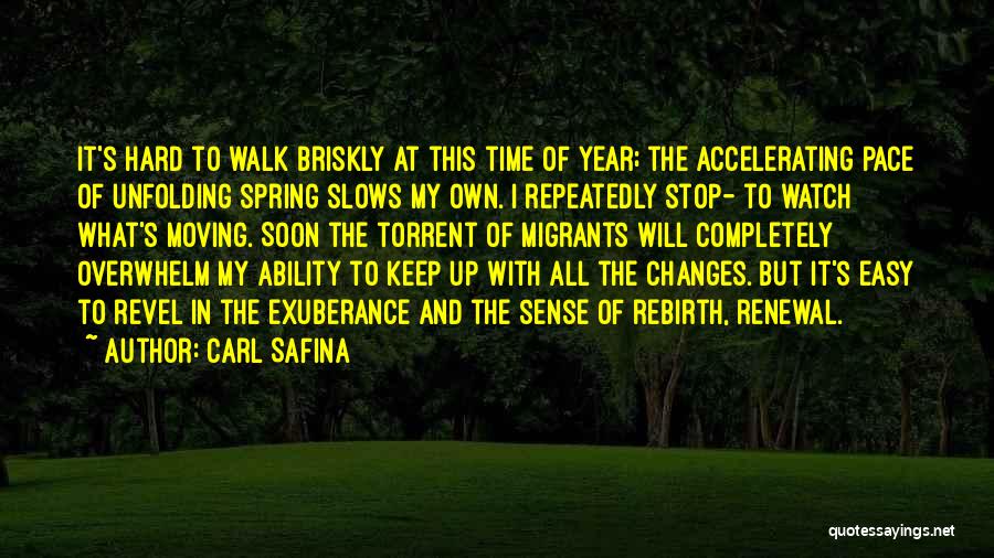 I Will Keep Walking Quotes By Carl Safina