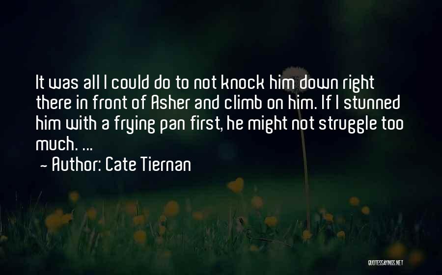 I Will Knock You Down Quotes By Cate Tiernan