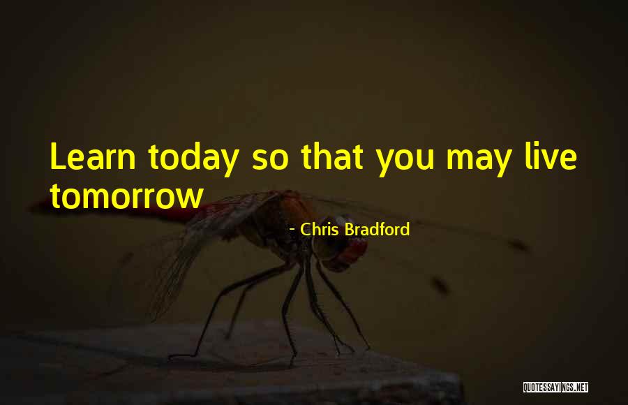 I Will Learn To Live Without You Quotes By Chris Bradford I Will Learn To Live Without You Quotes By Chris Bradford