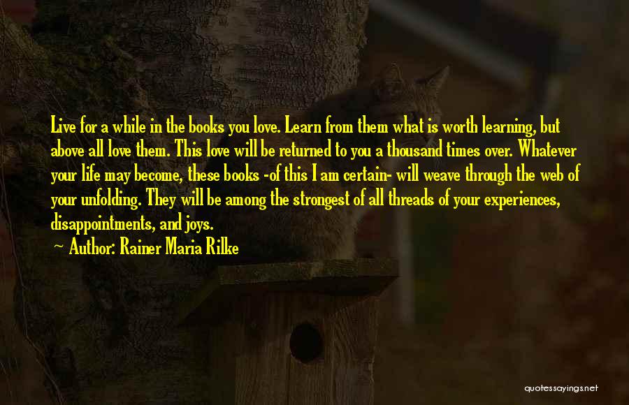 I Will Learn To Love You Quotes By Rainer Maria Rilke