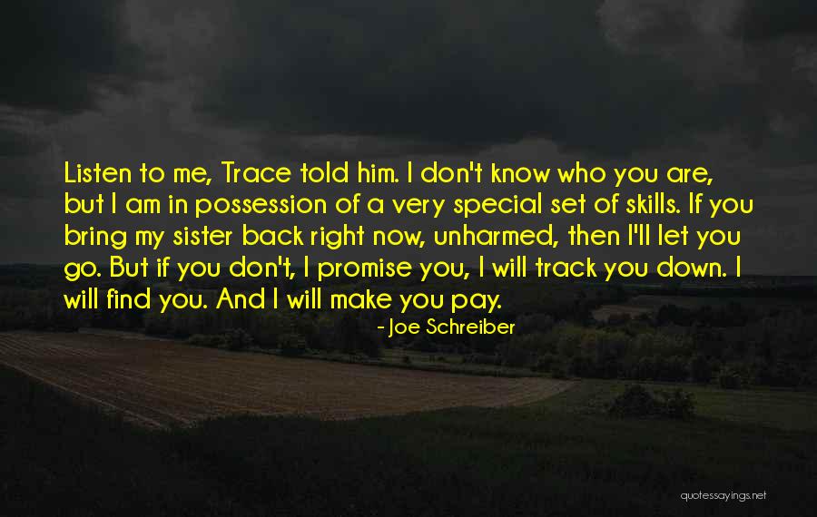 I Will Let You Go Quotes By Joe Schreiber