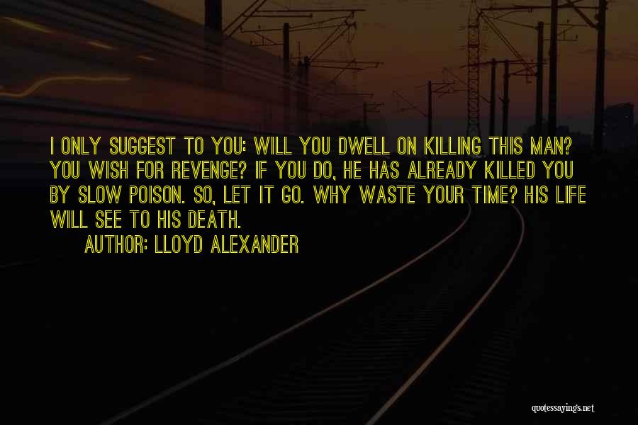 I Will Let You Go Quotes By Lloyd Alexander