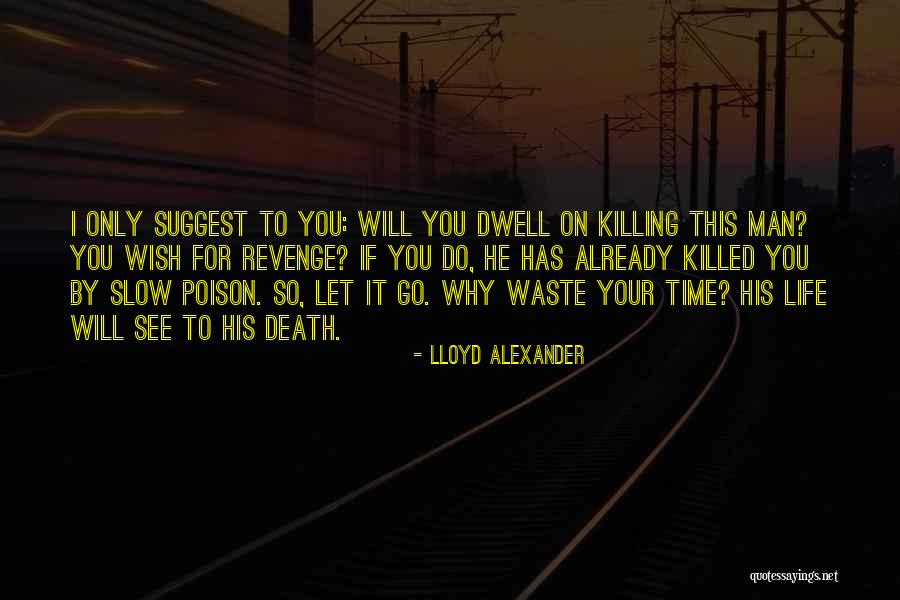 I Will Let You Go Quotes By Lloyd Alexander