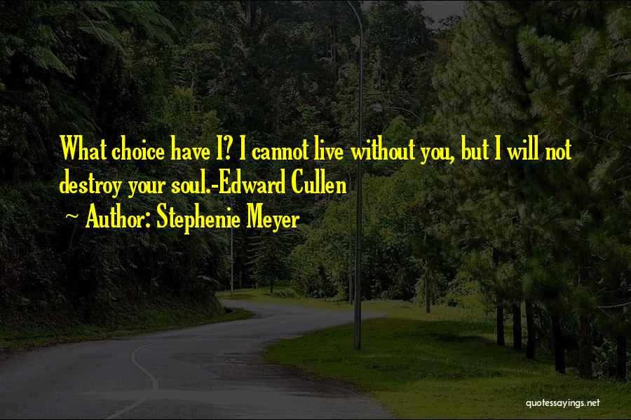 I Will Live Without You Quotes By Stephenie Meyer