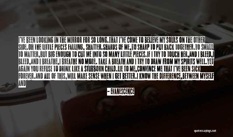 I Will Make A Difference Quotes By Evanescence I Will Make A Difference Quotes By Evanescence