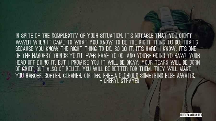 I Will Make Things Better Quotes By Cheryl Strayed I Will Make Things Better Quotes By Cheryl Strayed