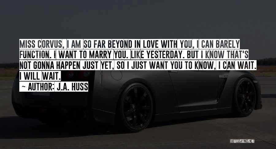 I Will Marry You Quotes By J.A. Huss
