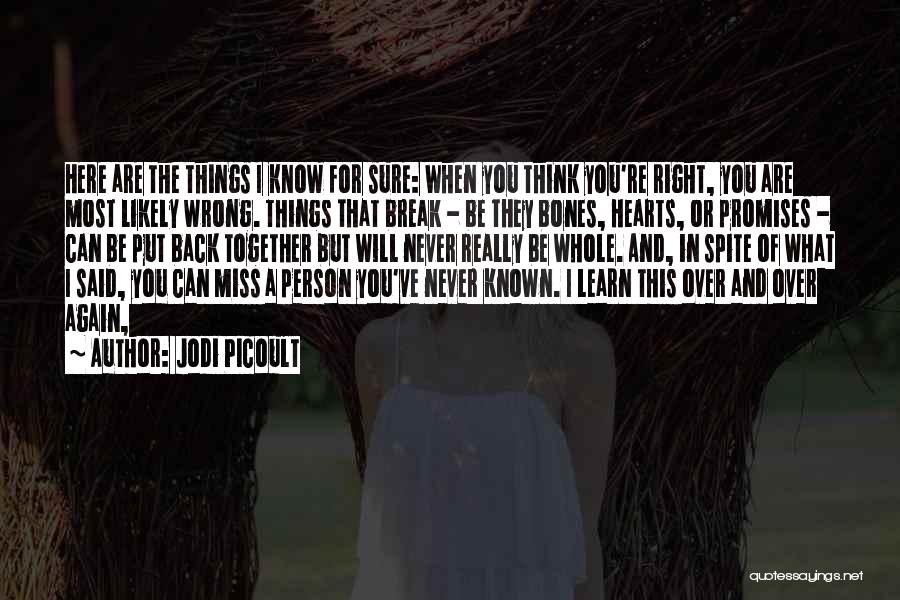 I Will Miss You Again Quotes By Jodi Picoult