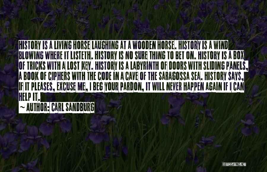 I Will Never Beg Quotes By Carl Sandburg