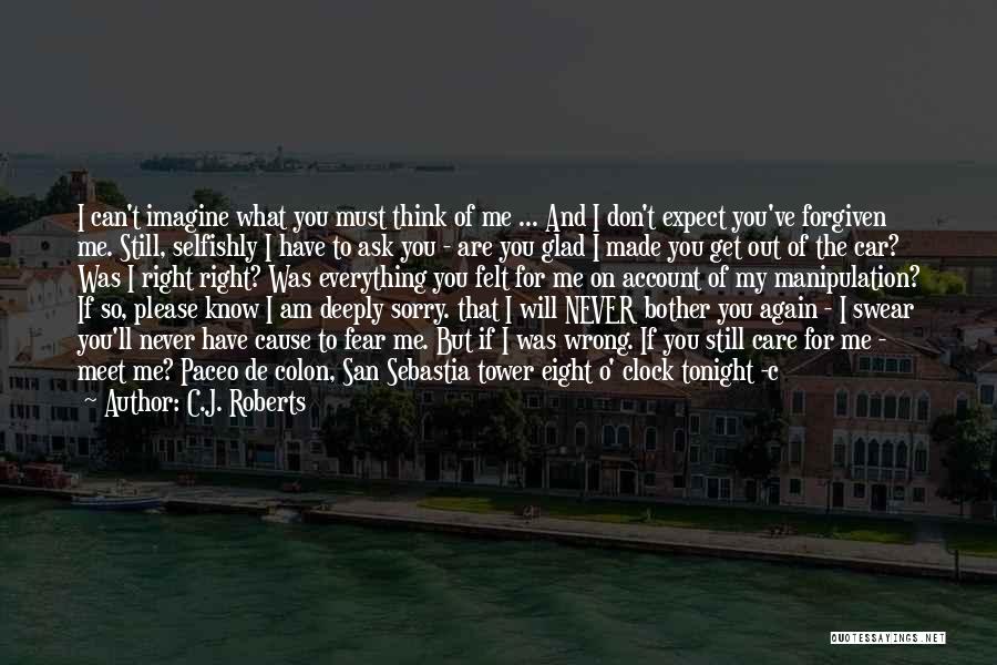 I Will Never Bother You Again Quotes By C.J. Roberts