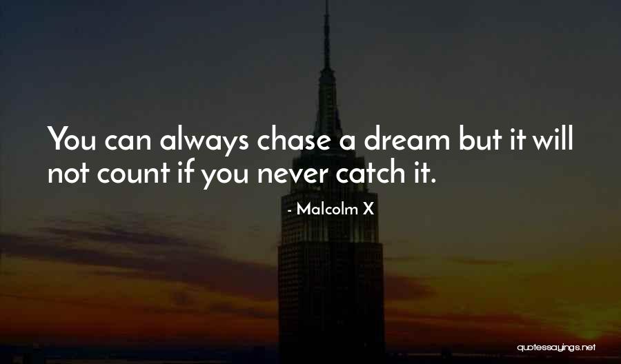 I Will Never Chase You Quotes By Malcolm X